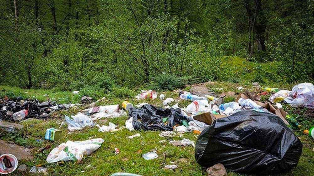 فرهنگ سازی در طبیعت گردی