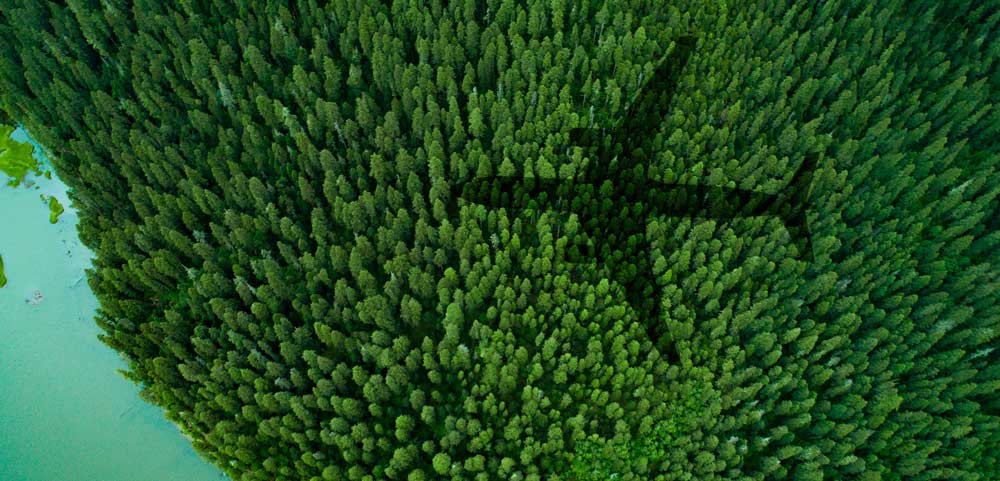 ابتکار هواپیمایی اتحاد: هر صندلی اقتصادی = یک درخت حرّا