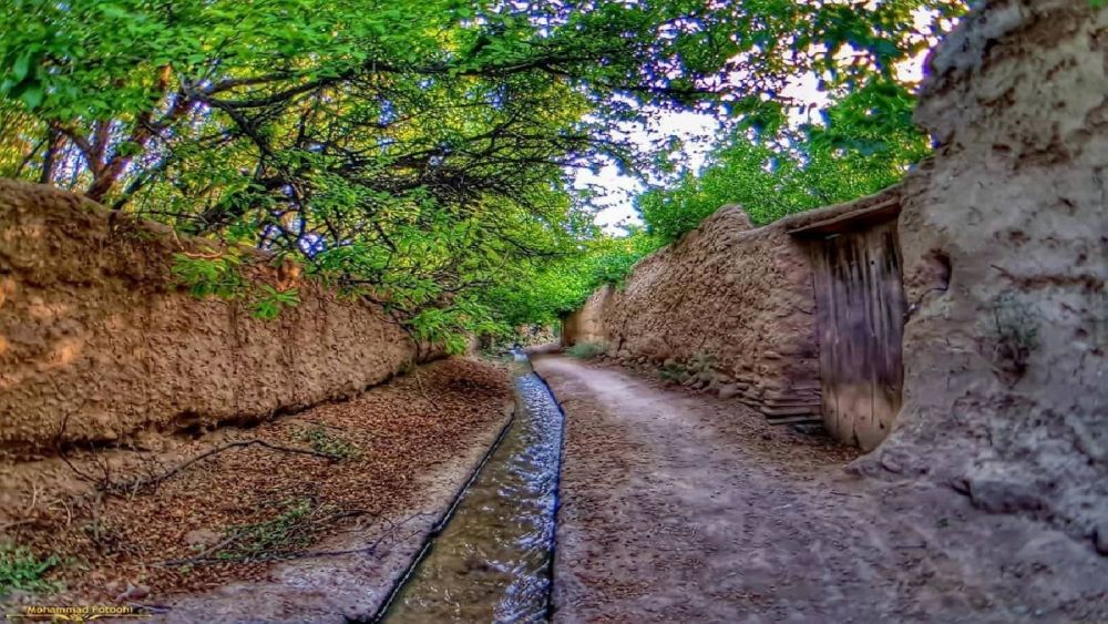 هر آنچه باید از طبیعت یزد بدانید