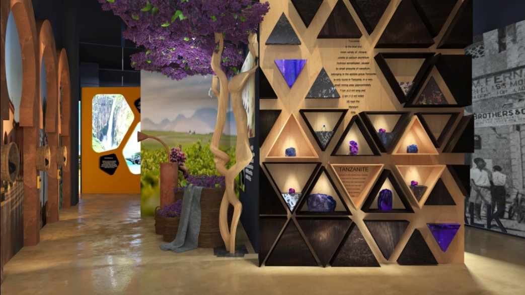 پاویلیون تانزانیا