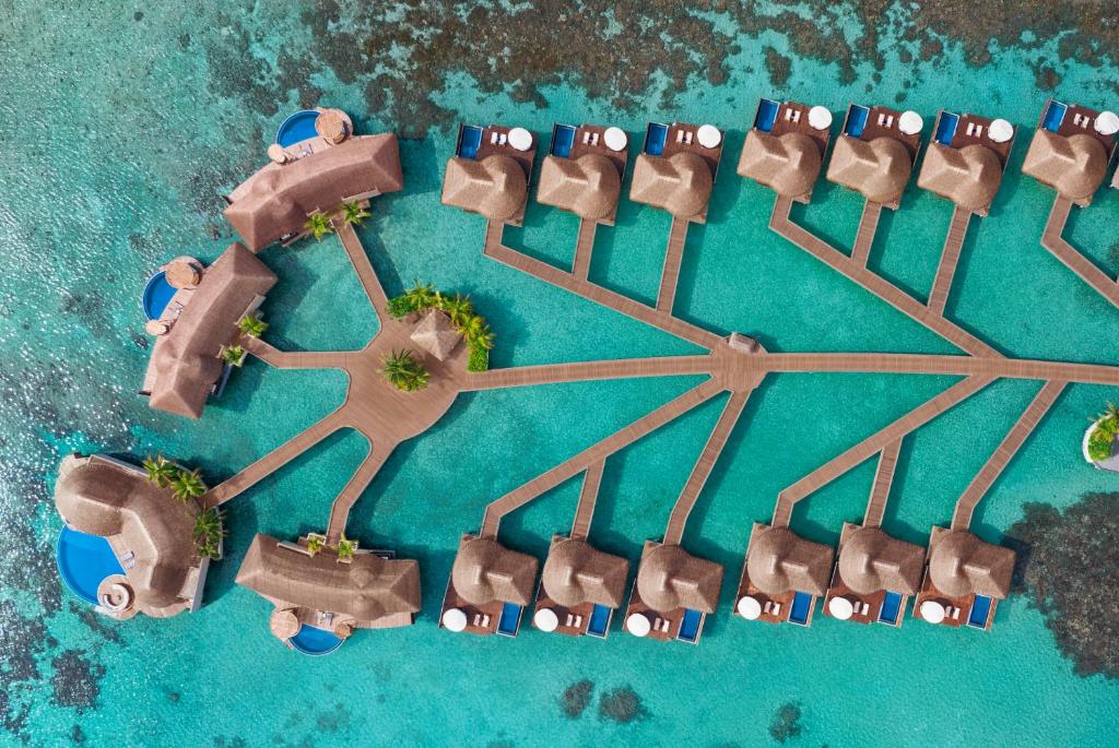 W Maldives در میان بهترین ریزورتهای اقیانوس هند