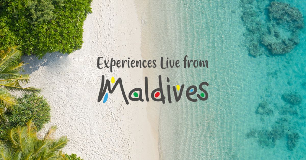 تجربه‌ های زنده به سبک مالدیو + ویدیو