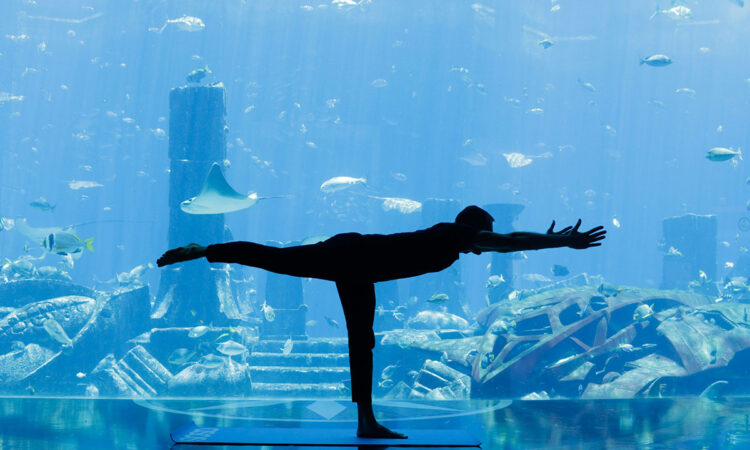 تفریحات هتل آتلانتیس پالم دبی