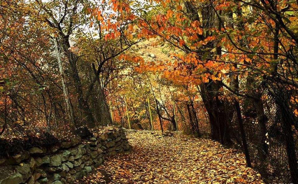 جنگل های پاییزی ایران