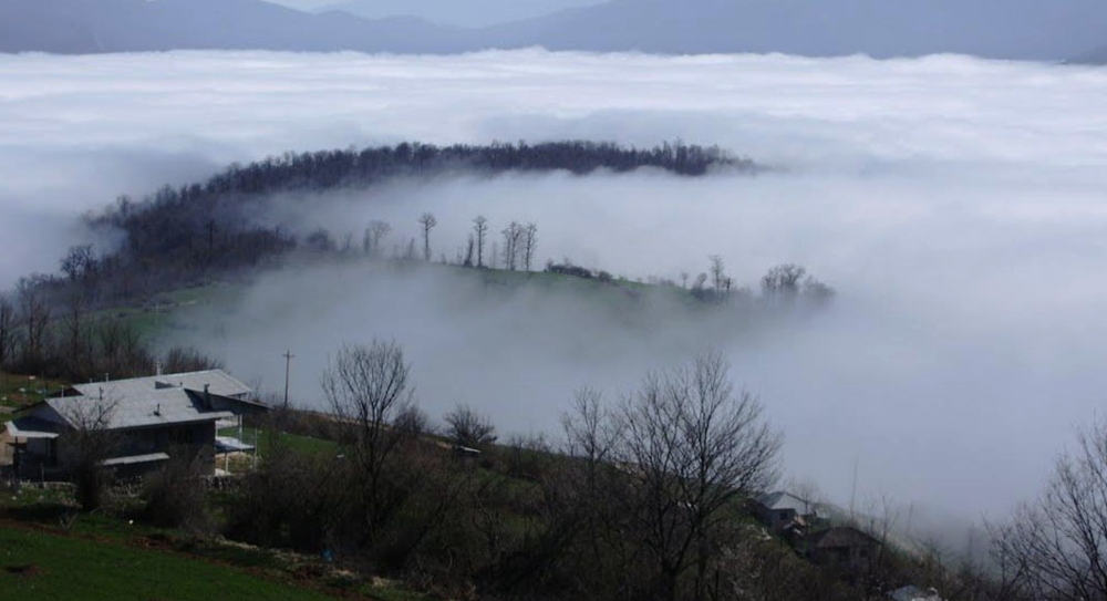 جنگل های پاییزی ایران