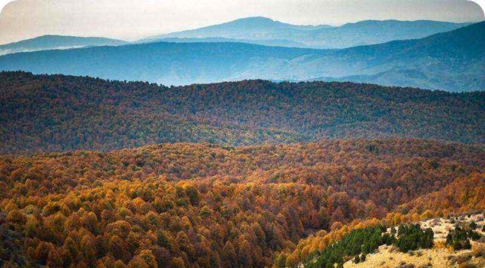 جنگل های پاییزی ایران