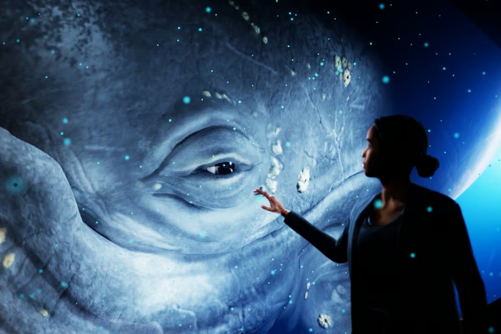 احداث اولین باغ وحش هولوگرامی جهان در استرالیا