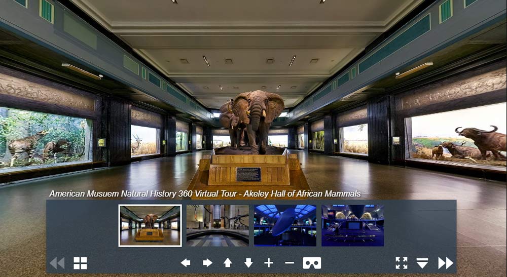 موزه مجازی تاریخ طبیعی آمریکا