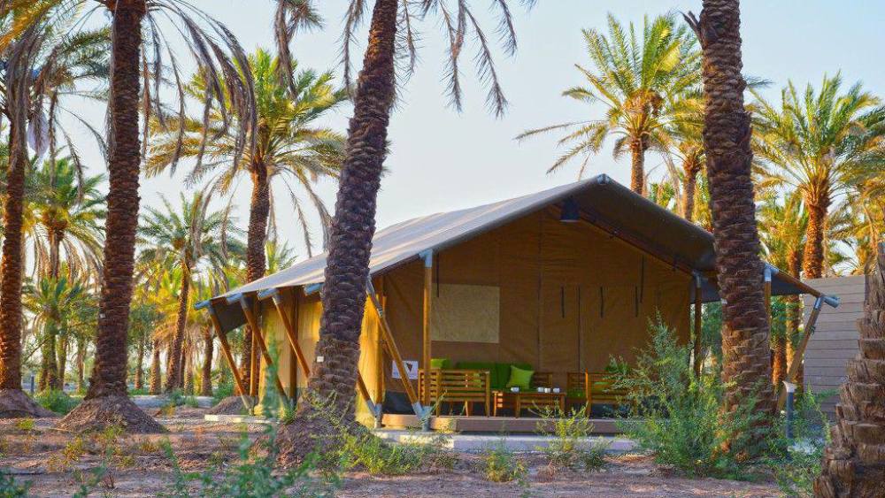 بهترین اکو کمپ های ایران - اکو کمپ ستاره لوت شهداد