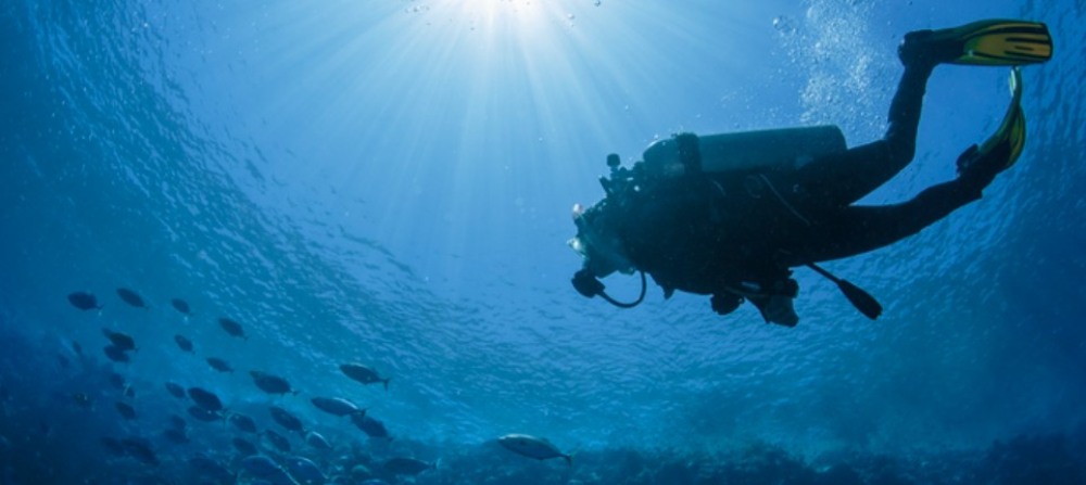 امکانات و تفریحات هتل جبل علی پالم تری کورت - غواصی