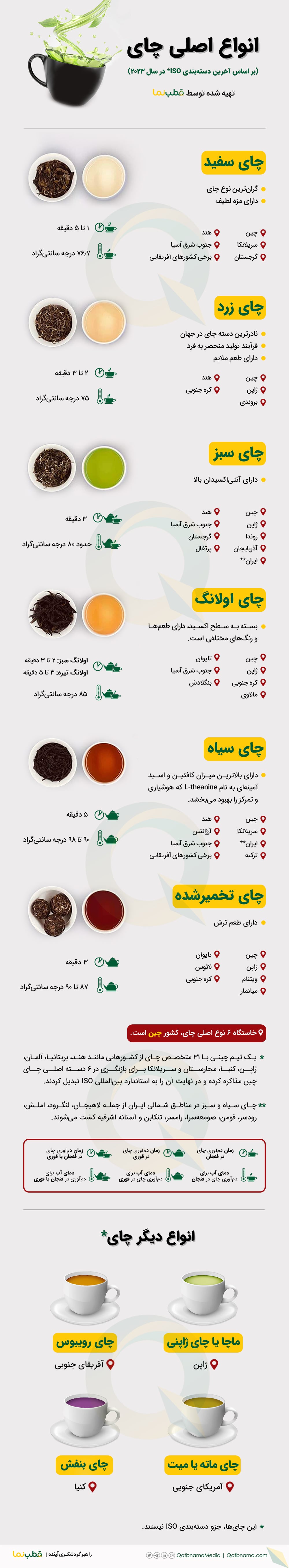 انواع چای اینفوگرافیک