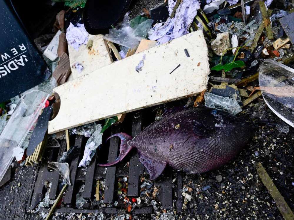 انفجار آکواریوم برلین - هتل رادیسون بلو 