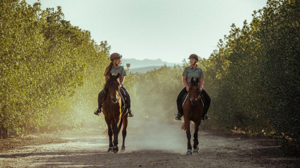 ۹ تفریح هیجان‌انگیز در ابوظبی + آدرس و لوکیشن گوگل - سوارکاری در جزیره صیر بنی یاس