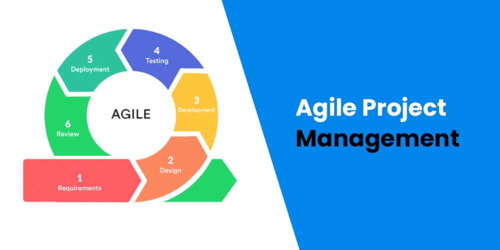 Agile Management