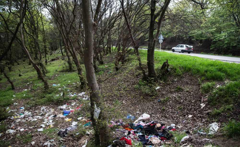 آلودگی جنگل ها - طبیعتگردی