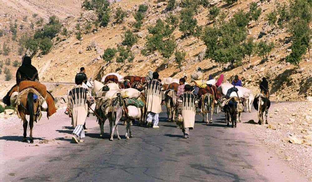 تور گردشگری عشایری و جذابیت آن