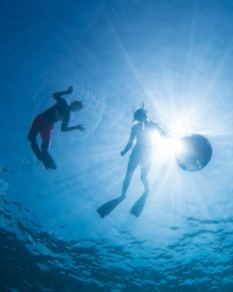 امکانات و تفریحات هتل Six Senses زیغی بی - تور پاکسازی دریا