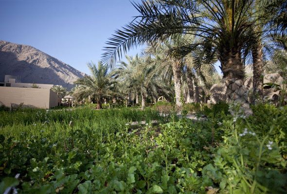 امکانات و تفریحات هتل Six Senses زیغی بی - باغ ارگانیک