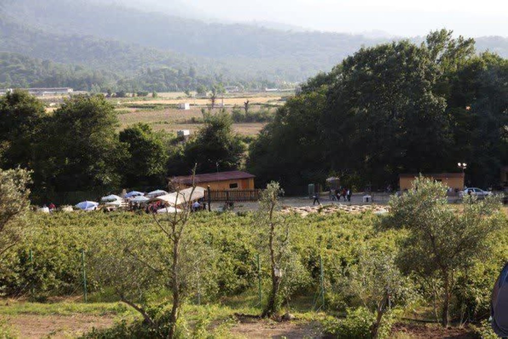 مزرعه ارمغان طبیعت