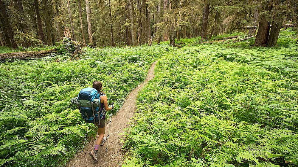 اصول طبیعت‌ گردی