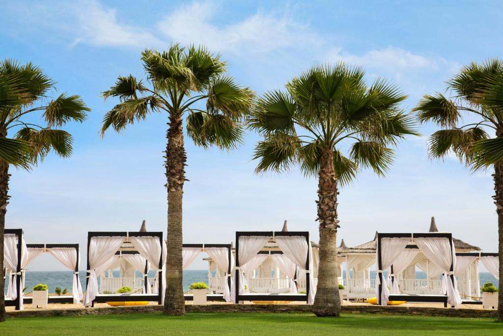 تور UALL یعنی چه؟